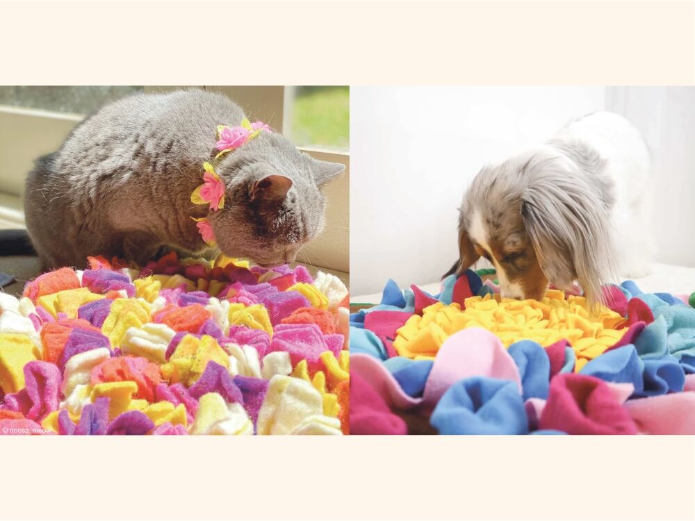 Cat and Dog sniffing through their snuffle mats